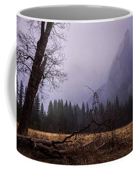 First Snow In Yosemite Valley Coffee Mug featuring the photograph First Snow In Yosemite Valley by Priya Ghose