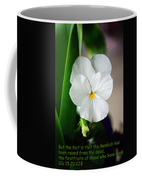 New Beginnings Coffee Mug featuring the photograph Firstfruits by Tikvah's Hope