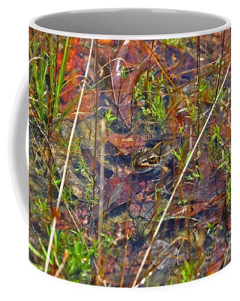 Frog Coffee Mug featuring the photograph Fish Faces Frog by Al Powell Photography USA