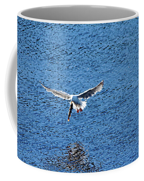Herring Gull Coffee Mug featuring the photograph Fish For Breakfast by Debbie Oppermann