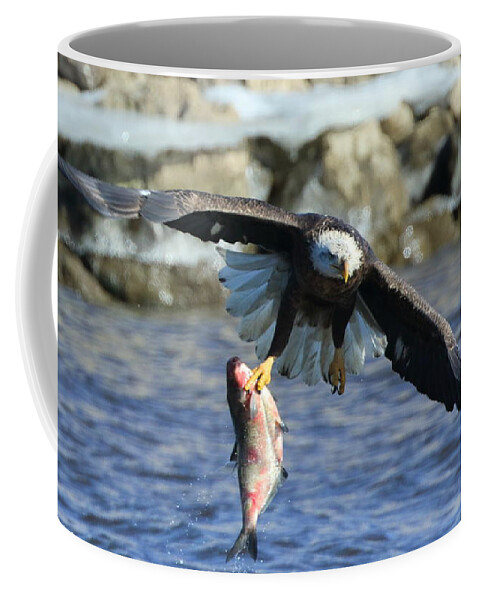 Bald Eagle Coffee Mug featuring the photograph Fish in hand by Coby Cooper