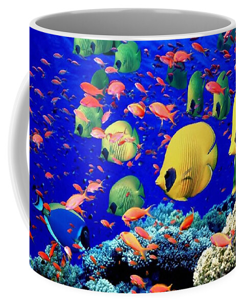 Fish Coffee Mug featuring the photograph Fish by Jackie Russo