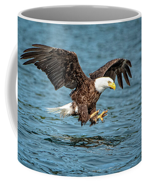 Bald Eagle Coffee Mug featuring the photograph Fishing by Jeanette Mahoney