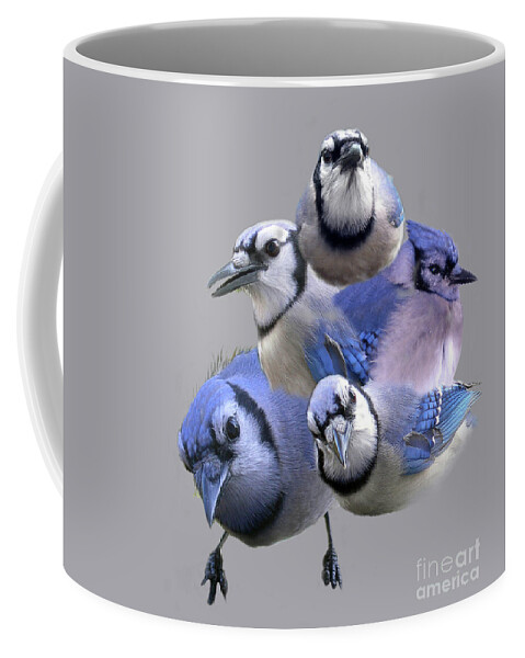 Names Of Birds Coffee Mug featuring the photograph Five Of A Kind by Skip Willits