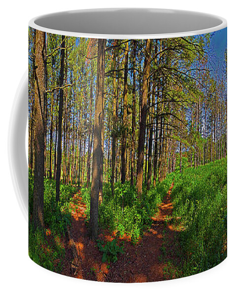 Local Coffee Mug featuring the photograph Paths, Pines 360 by Tom Jelen