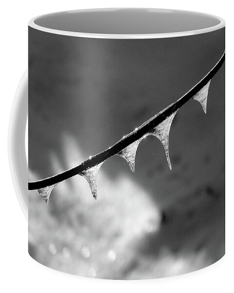 Black And White Coffee Mug featuring the photograph Fivecicles by Wild Thing