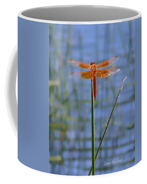 Dragonfly Coffee Mug featuring the photograph Flame Skimmer Dragonfly by Donna Blackhall