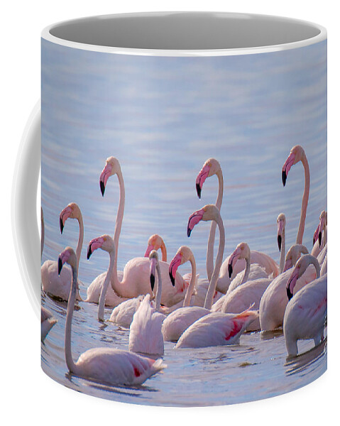 Animalia Coffee Mug featuring the photograph Flamingo Family in Kalochori Lagoon Greece by Jivko Nakev