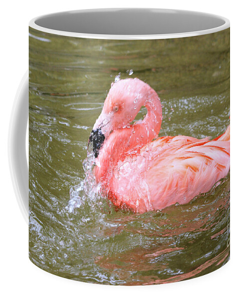 Flamingo Coffee Mug featuring the photograph Flamingo Fun by Kathy White
