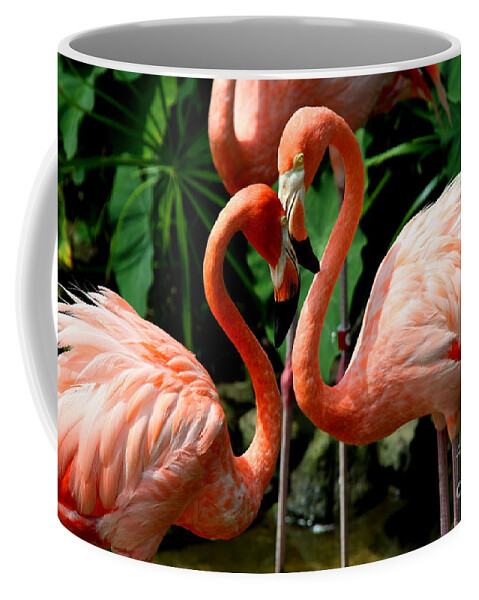 Pink Flamingo Coffee Mug featuring the photograph Flamingo Heart by Barbara Bowen