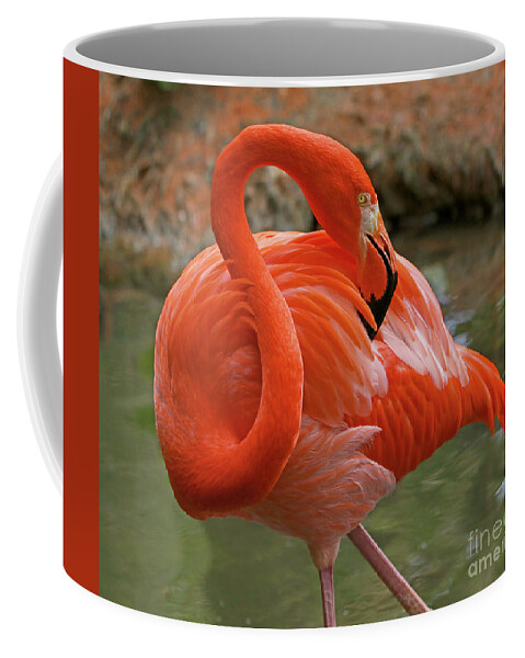 Bird Coffee Mug featuring the photograph Flamingo II by Larry Nieland