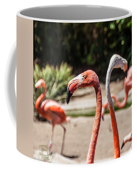  American Flamingo Coffee Mug featuring the photograph Flamingo Pair by Daniel Hebard