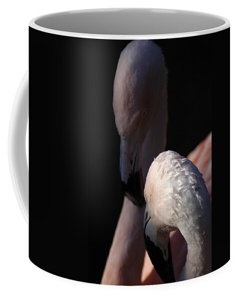 Pair Coffee Mug featuring the photograph Flamingo Study - 1 by DArcy Evans