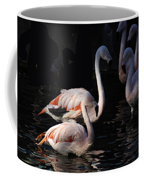 Flamingo Coffee Mug featuring the photograph Flamingo Study - 2 by DArcy Evans