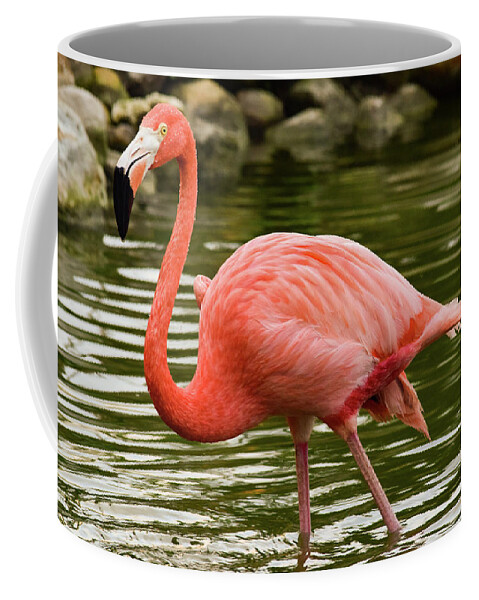Flamingo Coffee Mug featuring the photograph Flamingo Wades by Nicole Lloyd