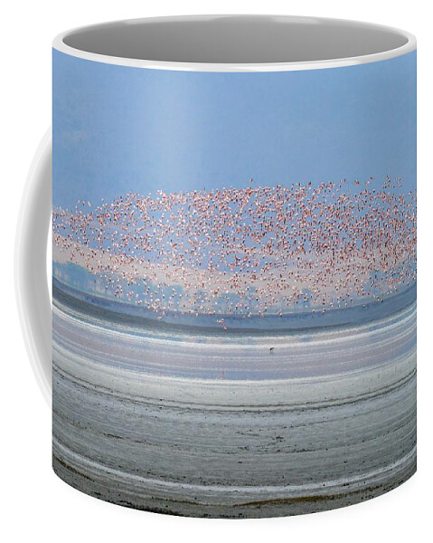 Africa Coffee Mug featuring the photograph Flamingos and Golden Jackal in Tanzania by Marilyn Burton
