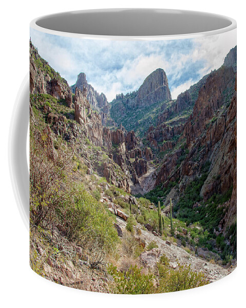 Arizona Coffee Mug featuring the photograph Flat Iron by Sandra Parlow