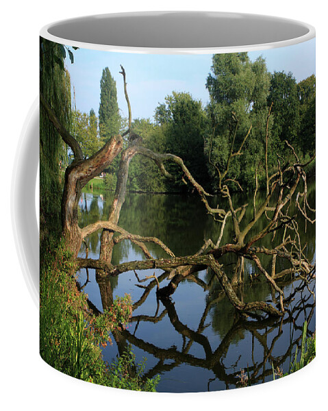 Green Coffee Mug featuring the photograph Flevopark, Amsterdam, The Netherlands by Aidan Moran