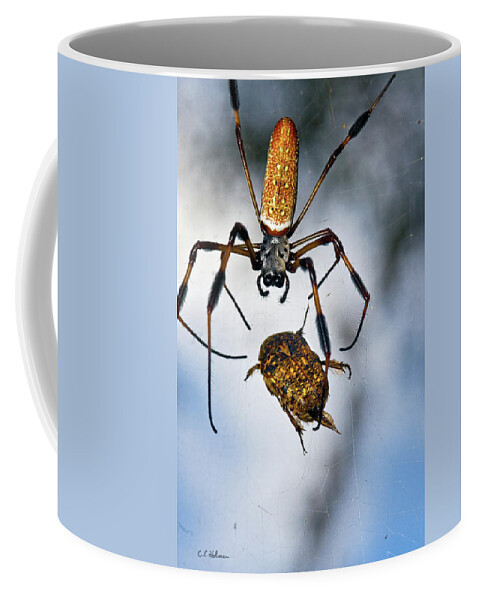 Golden Silk Orb-weaver Coffee Mug featuring the photograph Flew In For Dinner by Christopher Holmes