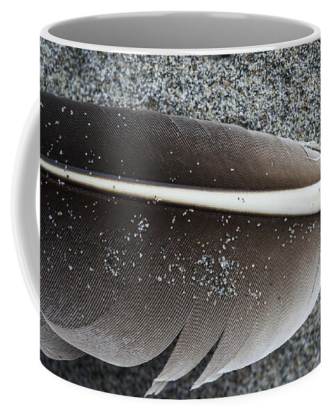 Feather Coffee Mug featuring the photograph Flight Feather by Robert Potts
