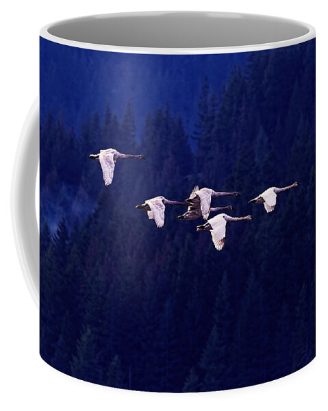 Trumpeter Swans Coffee Mug featuring the photograph Flight of the Swans by Sharon Talson