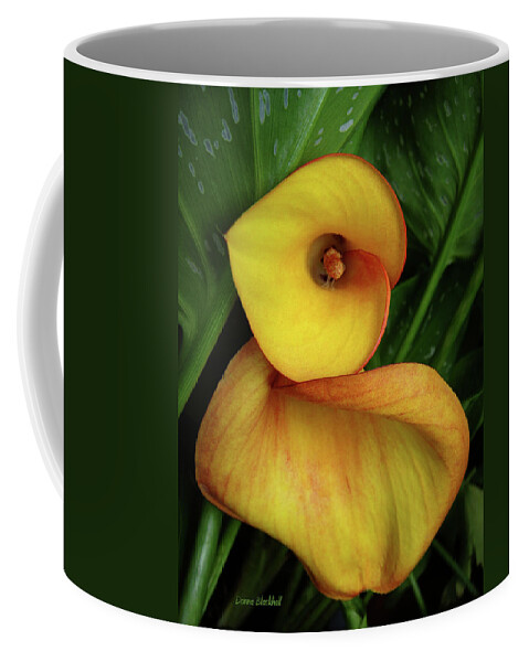 Calla Lily Coffee Mug featuring the photograph Flirtation by Donna Blackhall