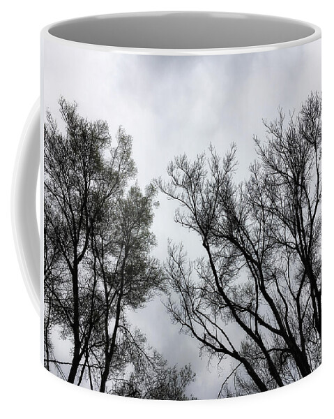 Trees Coffee Mug featuring the photograph Flirtation Of Trees by Donna Blackhall