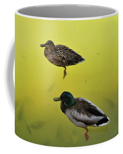 Nature Coffee Mug featuring the photograph Floating Around by Ron Cline