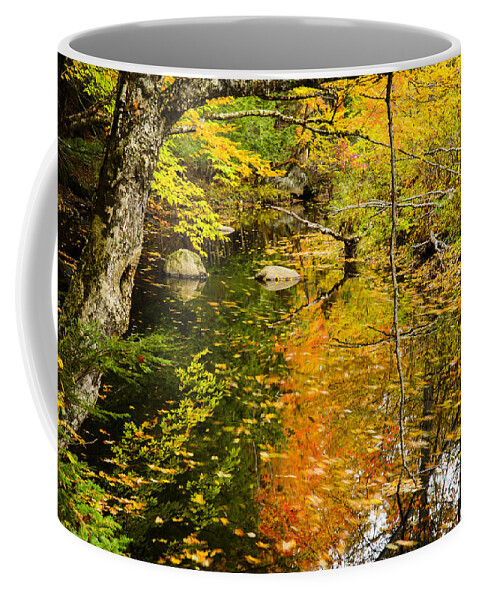 Floating Coffee Mug featuring the photograph Floating Down Stream by Alana Ranney
