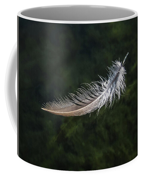 From My Kayak Coffee Mug featuring the photograph Floating Feather by Louise Lindsay