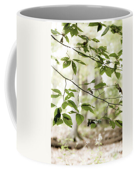 Floating Green Leaves Coffee Mug featuring the photograph Floating Green Leaves by Tracy Winter