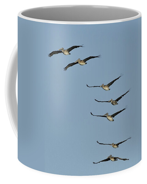 Pelican Coffee Mug featuring the photograph Flock of Brown Pelicans by Bradford Martin