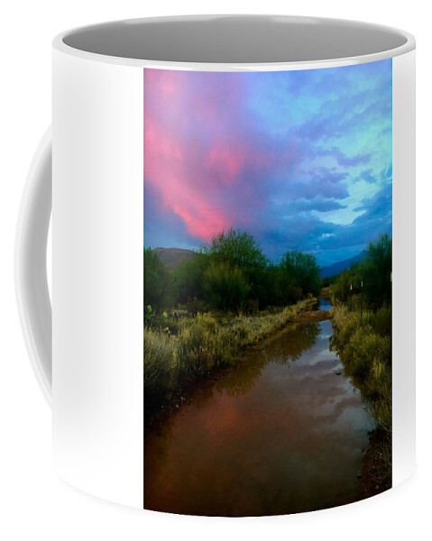 Path Coffee Mug featuring the photograph Flooded Pathway by Melisa Elliott