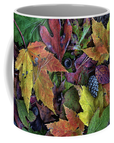 Autumn Leaves Coffee Mug featuring the photograph Floor Me by Kathi Mirto