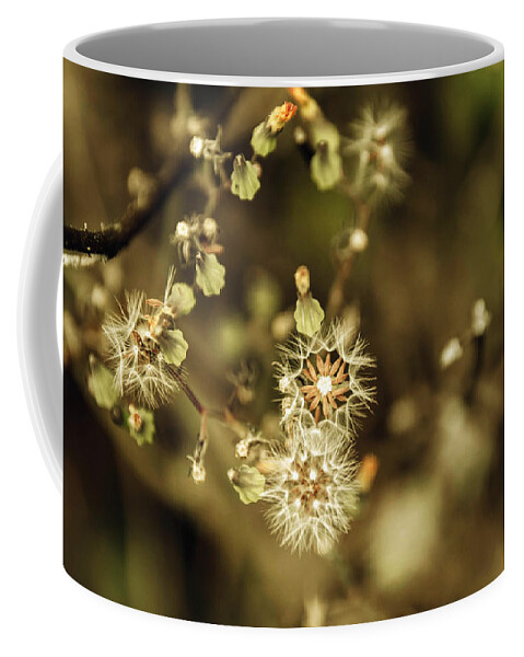 Foliage Coffee Mug featuring the photograph Floral 11 by Andrea Anderegg