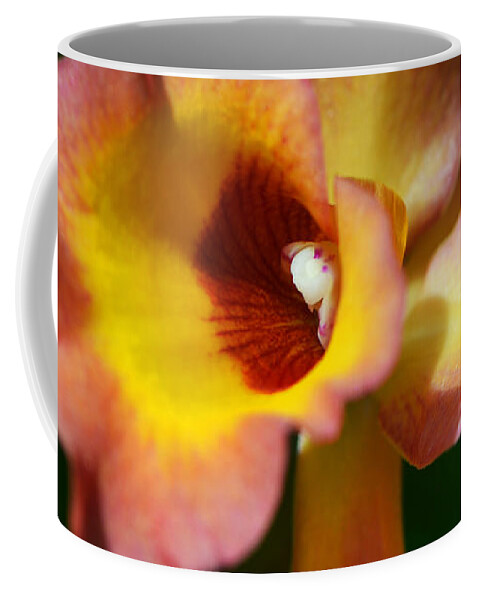 Orchid Coffee Mug featuring the photograph Floral Art - Intimate Orchid 3 - Sharon Cummings by Sharon Cummings