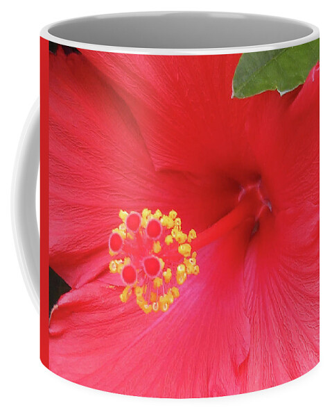 Red Coffee Mug featuring the photograph Floral Beauty 2 by Vickie G Buccini