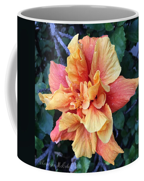 Landscape Coffee Mug featuring the photograph Floral CA1 by Christine McCole
