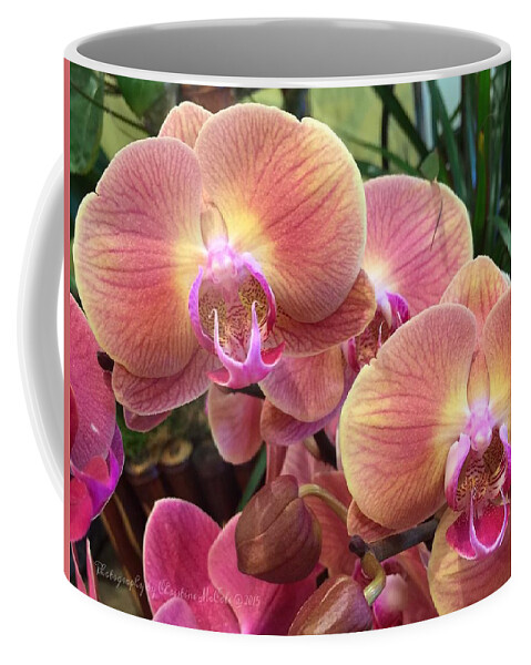 Flowers Coffee Mug featuring the photograph Floral Pink Yellow Moth Orchids 1 by Christine McCole