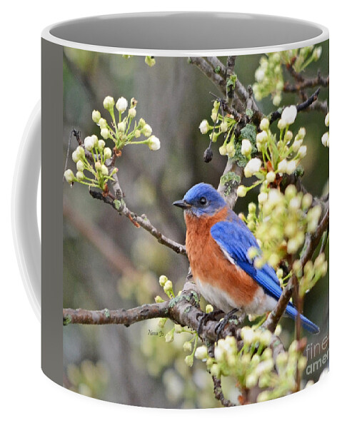 Nature Coffee Mug featuring the photograph Floral Spring Bluebird by Nava Thompson