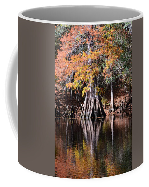 Florida Fall Coffee Mug featuring the photograph Florida Fall by Warren Thompson