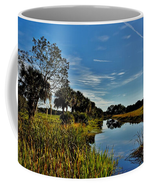 Florida Lands Coffee Mug featuring the photograph Florida Lands 7 by Lisa Renee Ludlum