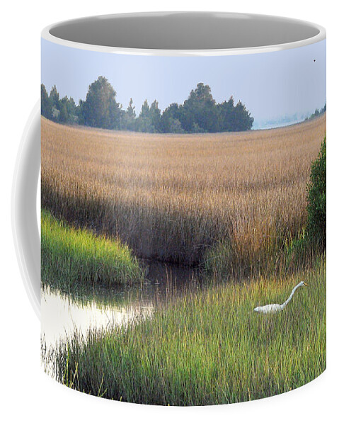 Saltmarsh Coffee Mug featuring the photograph Florida Saltmarsh by Peggy Urban