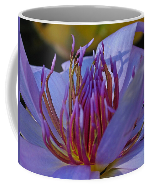 Lily Coffee Mug featuring the photograph Florida Water Lily by Juergen Roth