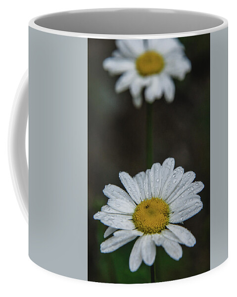 Nature Coffee Mug featuring the photograph Flower 2 by Mati Krimerman
