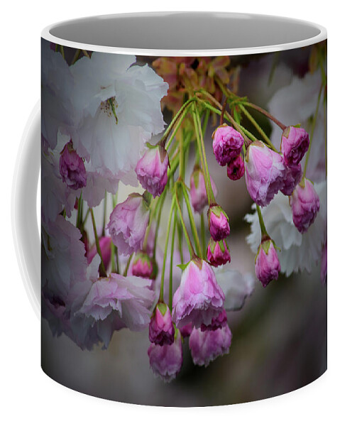 Spring Coffee Mug featuring the photograph Flower Blossoms by Tikvah's Hope