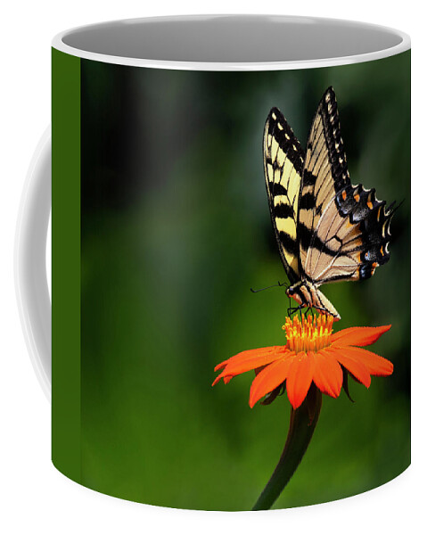 Butterfly Coffee Mug featuring the photograph Flower Dance by Art Cole
