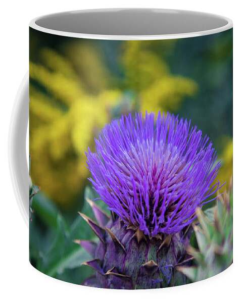 Flower Coffee Mug featuring the photograph Flower in Fayetteville Courthouse Square by Toni Hopper