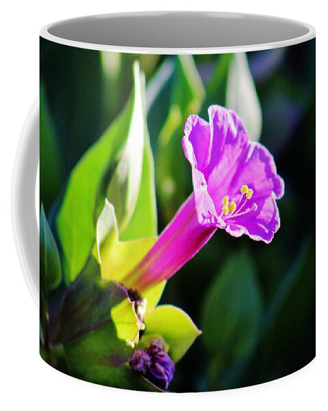 Flora Coffee Mug featuring the photograph Flower Lavender Purple GON1 by Edward Dobosh