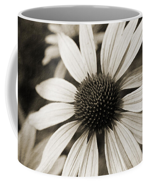 Flower Coffee Mug featuring the photograph Flower of Old by Karol Livote